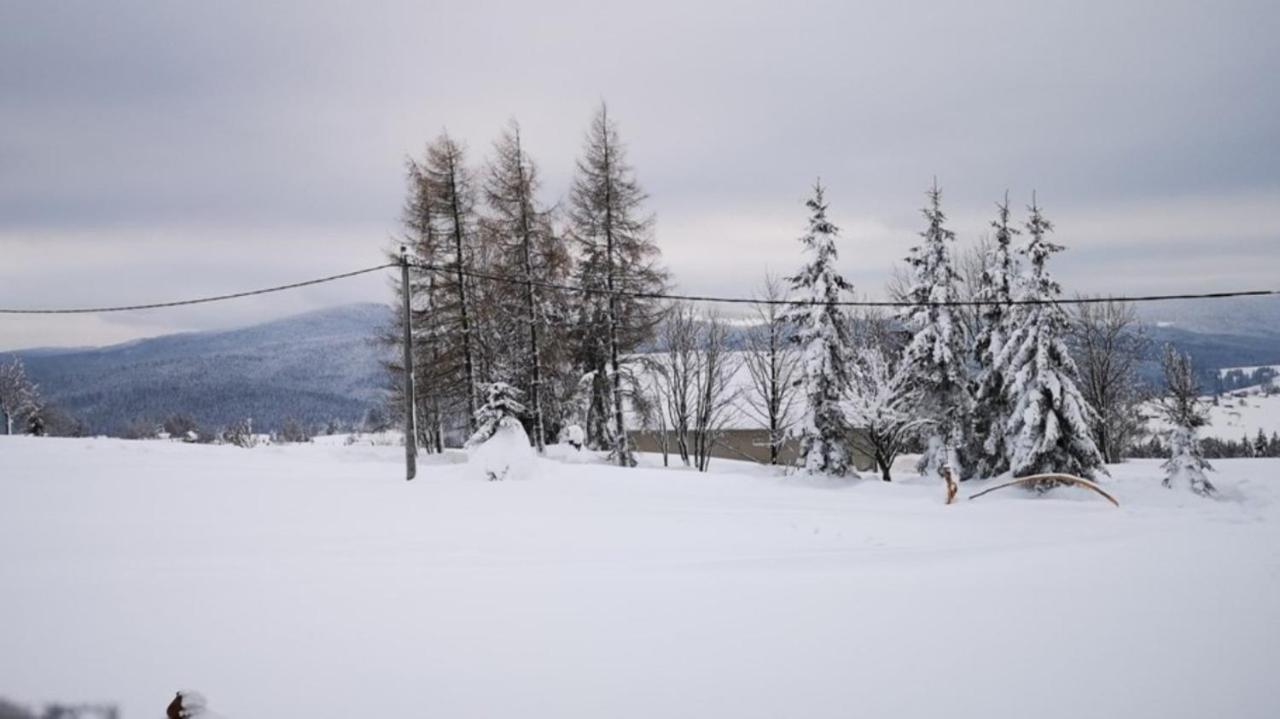 Chata Nad Lanovkou Apartment Oravska Lesna Exterior photo